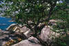 Baan Hin Sai Resort 
